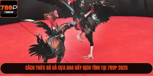 Cách Thức Đá Gà Cựa Dao Đầy Kịch Tính Tại 789P 2025 2 Đá gà cựa dao