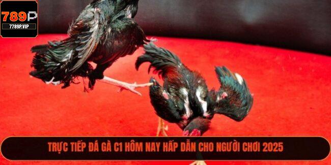 Trực Tiếp Đá Gà C1 Hôm Nay Hấp Dẫn Cho Người Chơi 2025 1 trực tiếp đá gà C1
